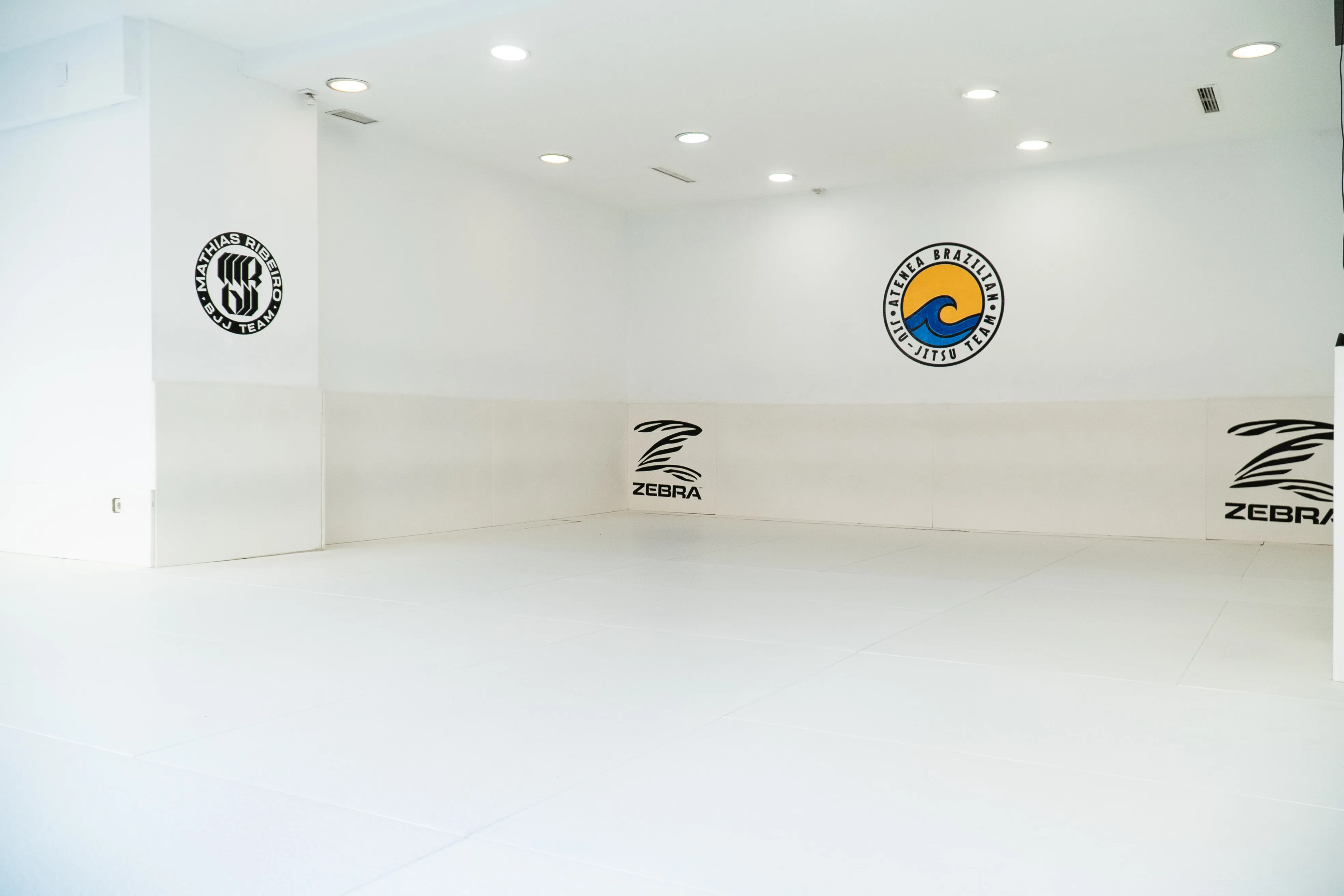 El tatami de Atenea BJJ Team Madrid